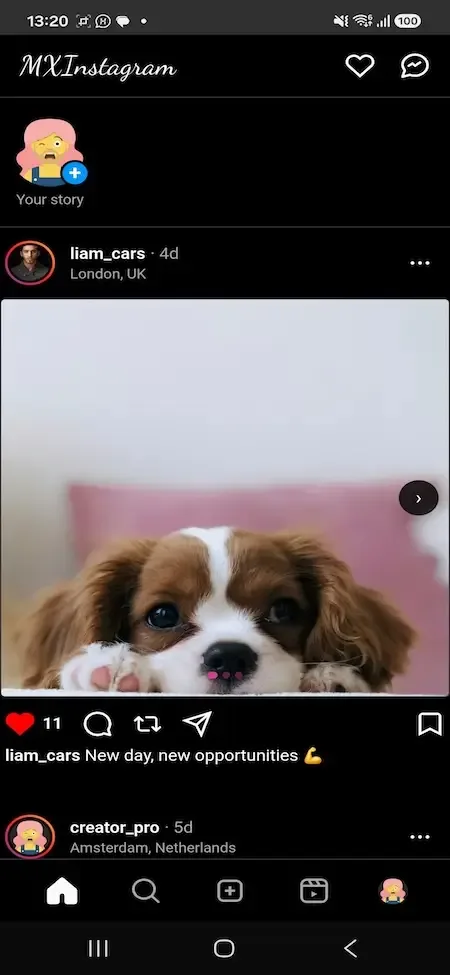 Phone home feed with a story circle, a dog photo post and action icons