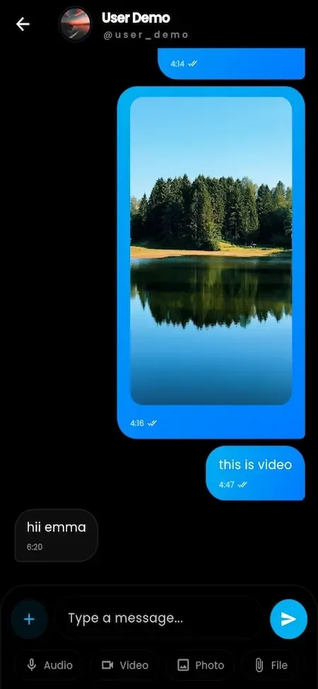 Phone chat thread with blue message bubbles, a shared photo and a message input with attachments