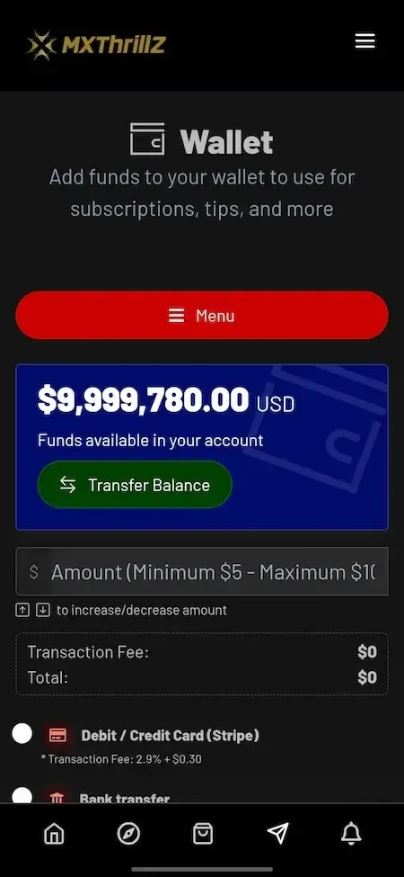 Phone wallet screen with a blue balance card, transfer button and payment method options